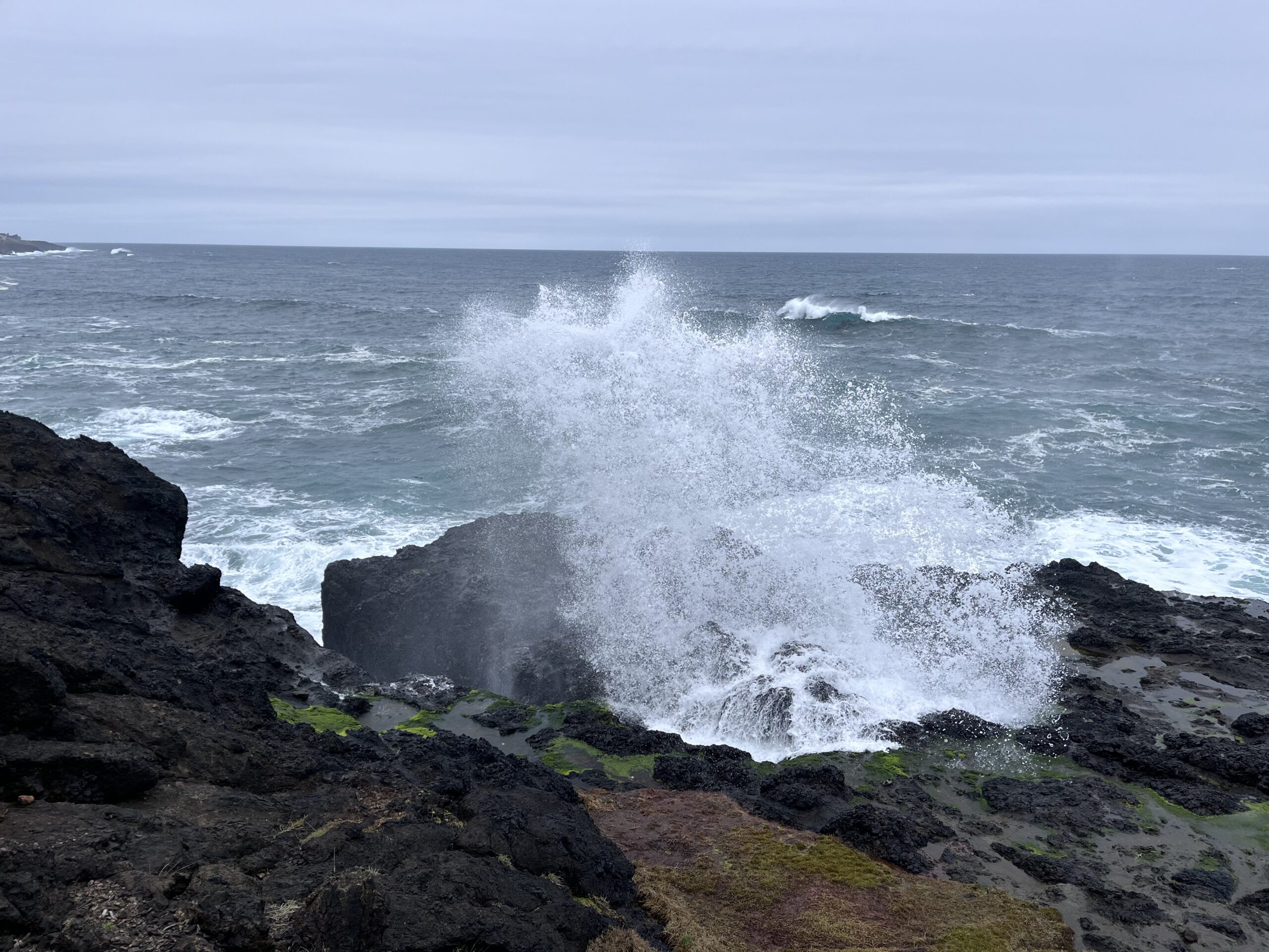 Oregon Coast 2024: Day 2